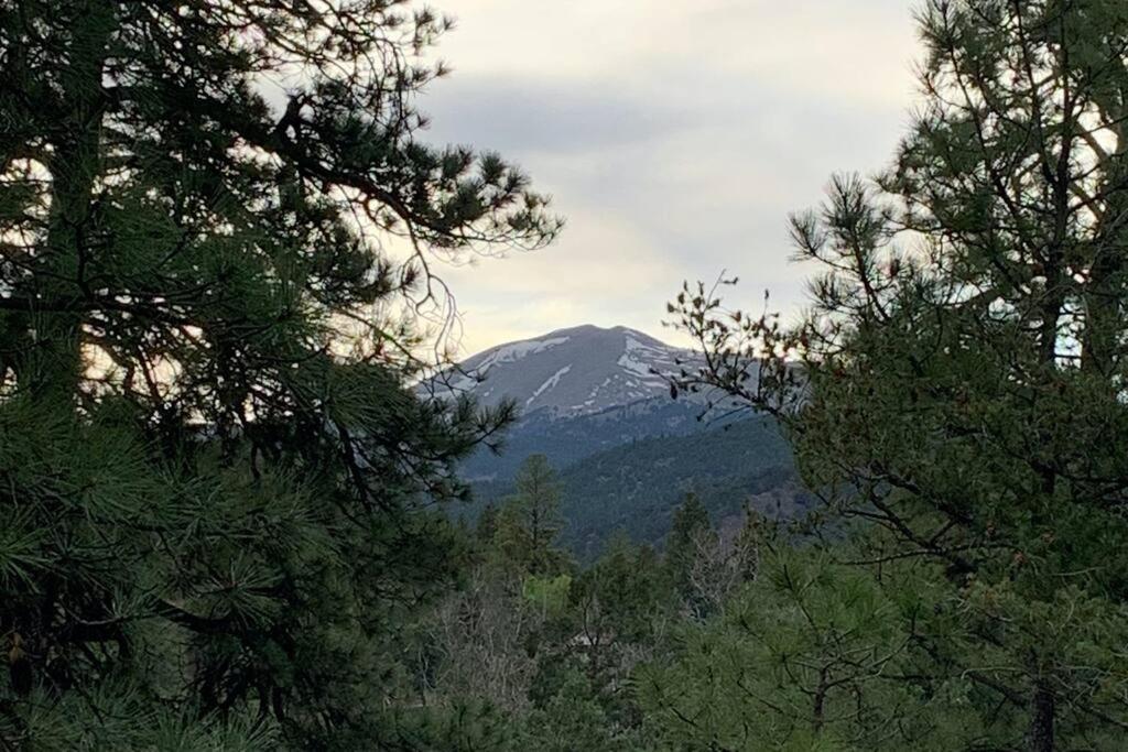 Villa Twin Pines Casita - Big Yard, View, Porch, Hot Tub, & Charm Ruidoso Exterior foto